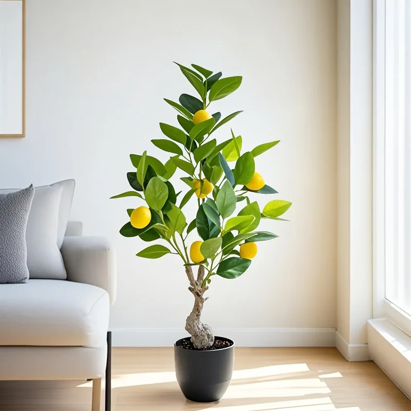 Ficus Lyrata Tree - Pohon Lemon Buatan Baru 2026, Pohon