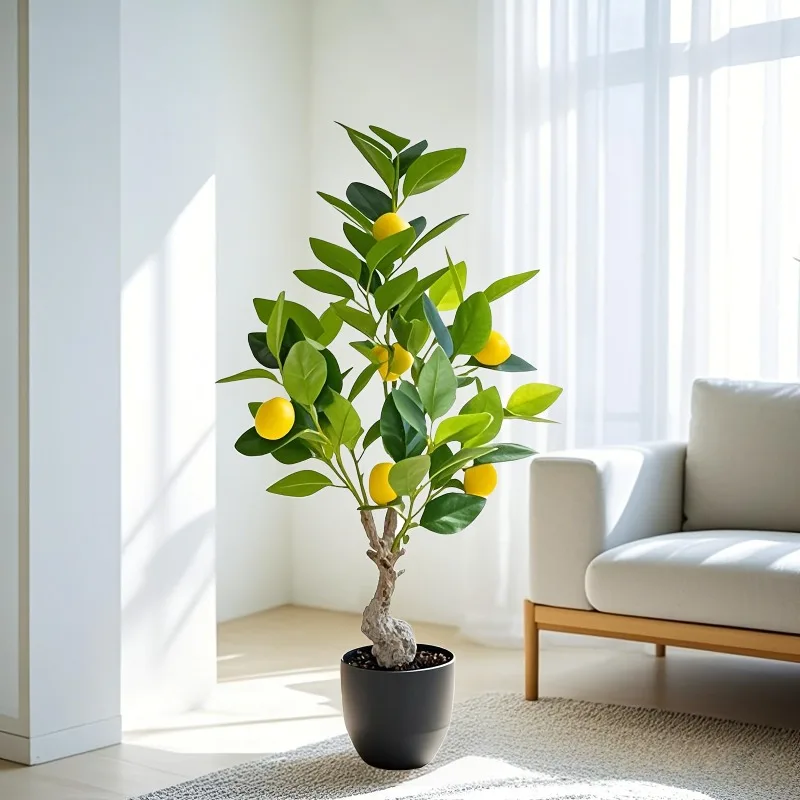Pohon Lemon Buatan Baru 2026,  - Ficus Lyrata Tree ulasan dan harga