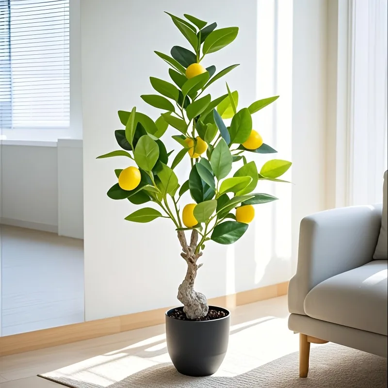 Pohon Lemon Buatan Baru 2026,  - Ficus Lyrata Tree ulasan dan harga