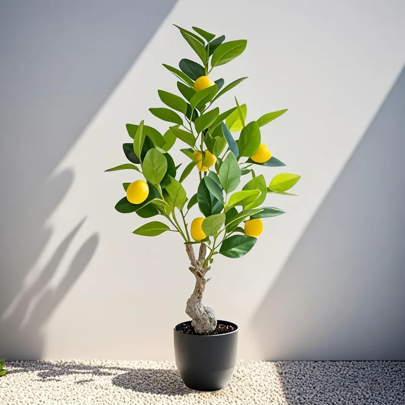 Pohon Lemon Buatan Baru 2026,  - Ficus Lyrata Tree ulasan dan harga