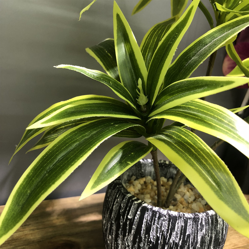 35CM 3 Garpu Buatan Desktop Ta - Ficus Lyrata Tree ulasan dan harga